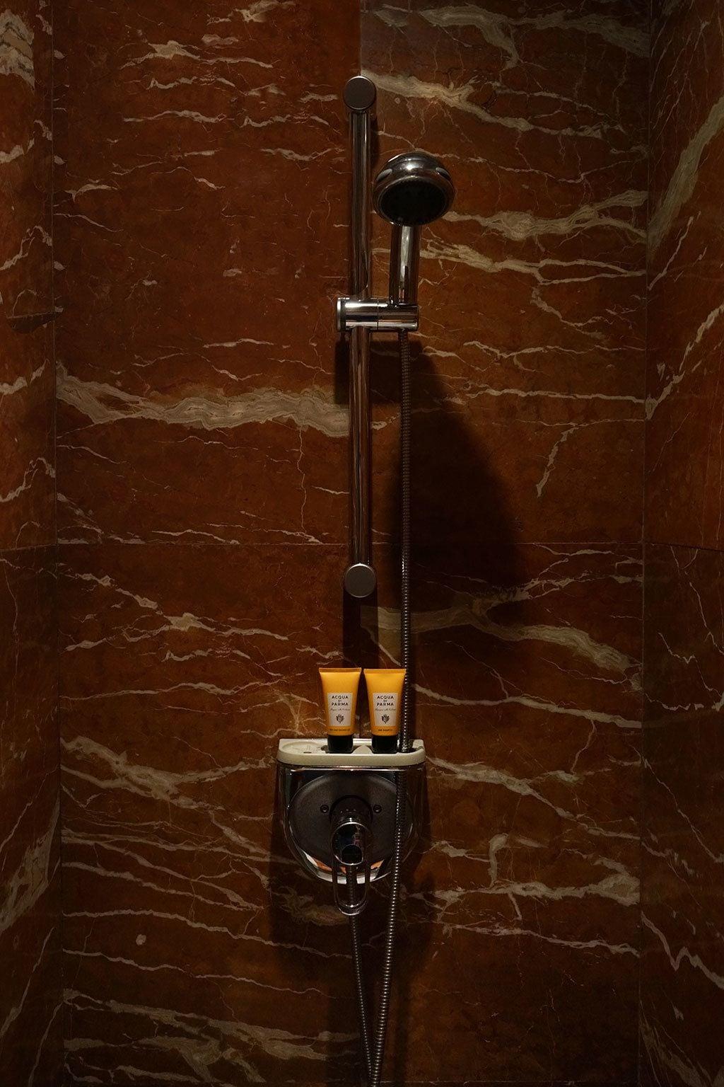 Hotel Landa Burgo Esterno foto Shower