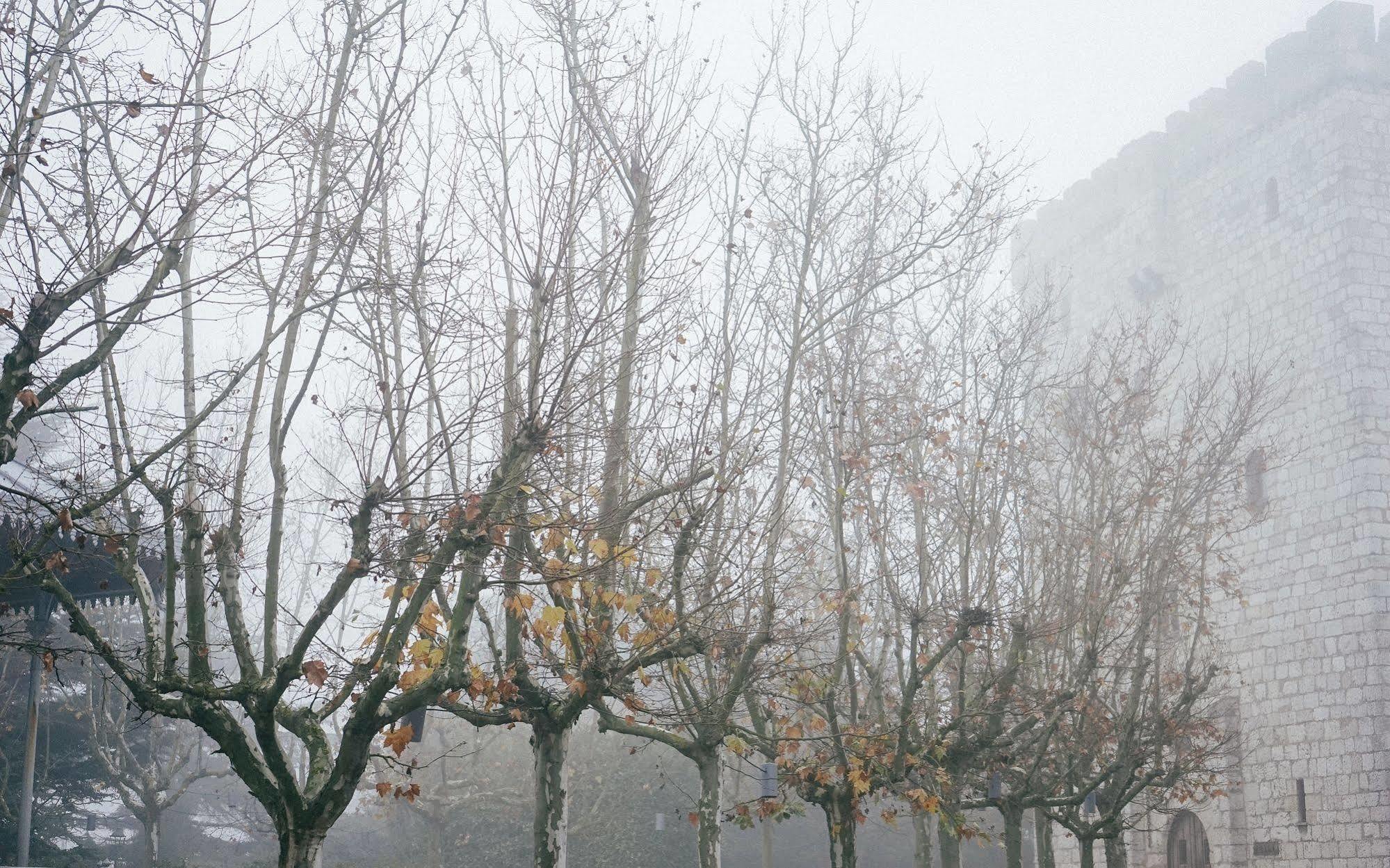 Hotel Landa Burgo Esterno foto Trees in winter