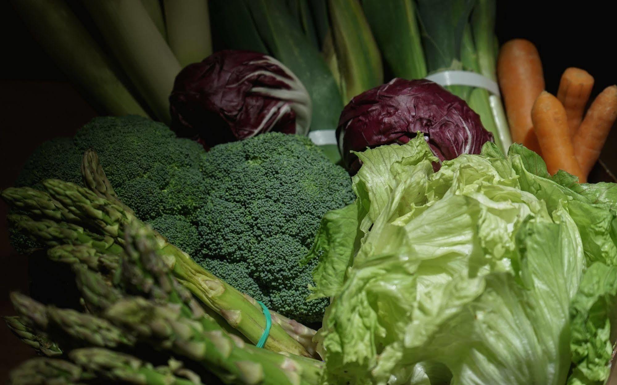 Hotel Landa Burgo Esterno foto Vegetables
